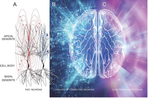 The Human Factor An Inquiry into Communication and Consciousness Epub