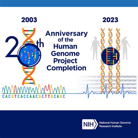 The Human Genome Project and the Future of Health Care Epub