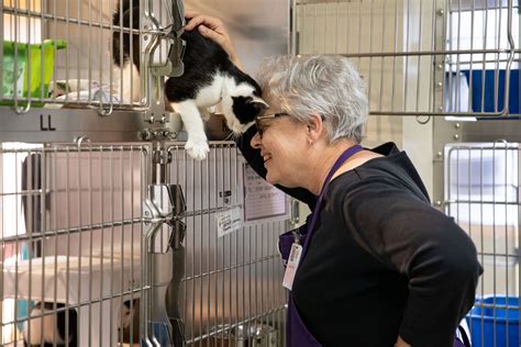 The Humane Society of Portland: A Haven for Animals in Need