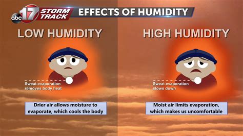 The Humidity: A Sticky Situation