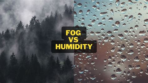 The Humidity Conundrum: A Dampening Dilemma