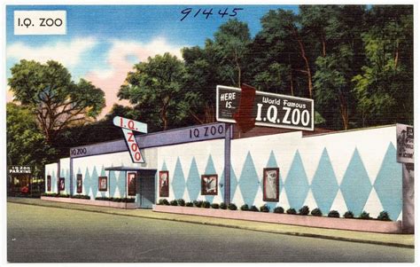 The I Q Zoo Doc
