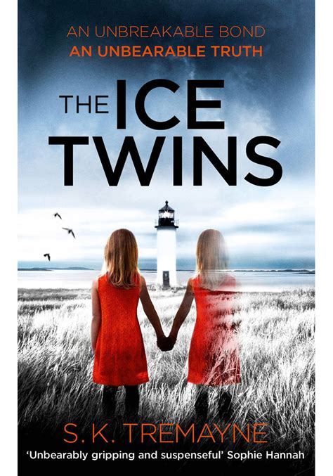 The Ice Twins A Novel PDF