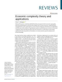 The Idea of Economic Complexity: 2 Ebook Kindle Editon