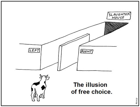 The Illusion of Choice