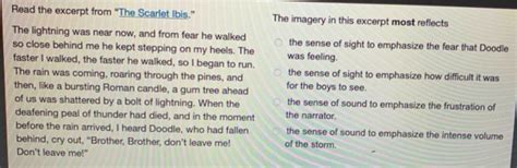 The Imagery in This Excerpt Most Reflects: Embracing the Darkness and the Light