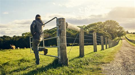 The Impact of "Fences"