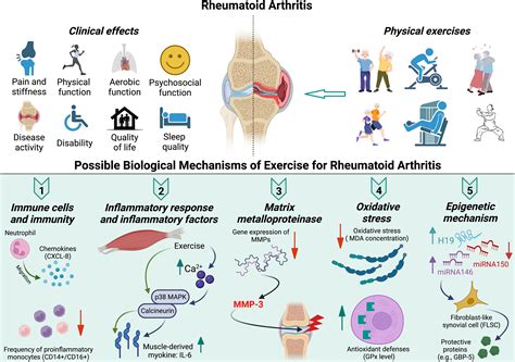 The Impact of Arthritis