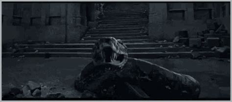 The Impact of Nagini's Death