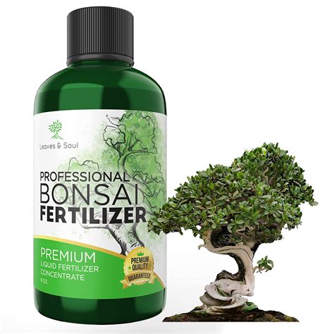 The Importance of Bonsai Fertilizer Liquid