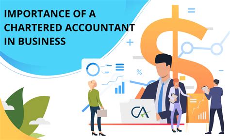 The Importance of Chartered Accountants in the Modern Business World