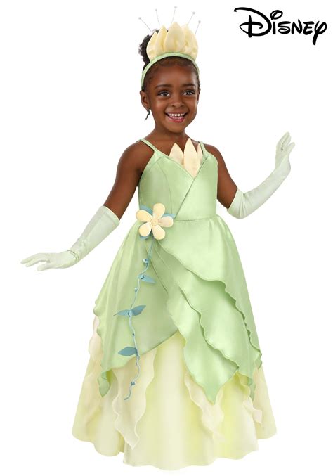 The Importance of Choosing the Right Tiana Costume