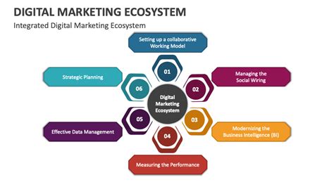 The Importance of Digital Marketing in Today's Business Ecosystem