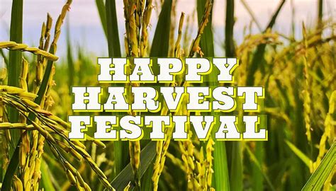 The Importance of Harvest Days