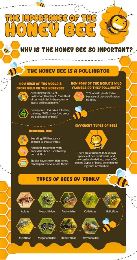 The Importance of Honeybees