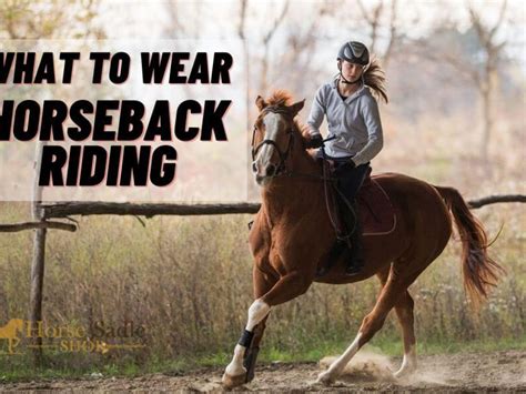 The Importance of Horse Riding Apparel