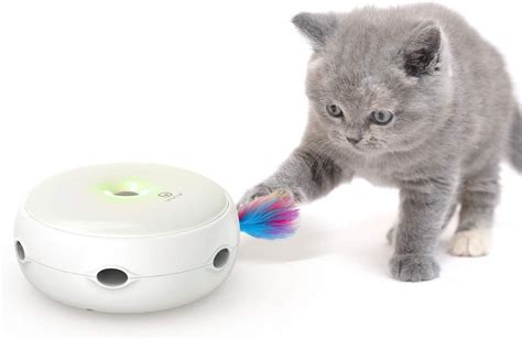 The Importance of Interactive Cat Toys