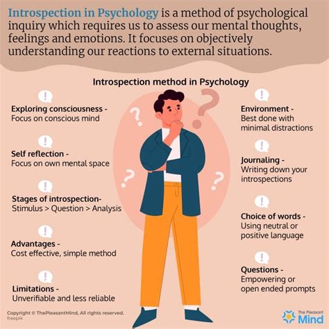 The Importance of Introspection