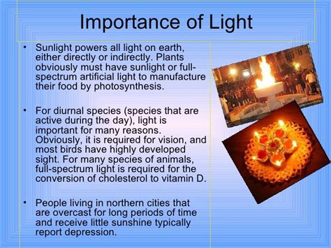 The Importance of Light in Our Lives