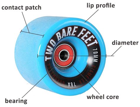 The Importance of Longboard Wheels