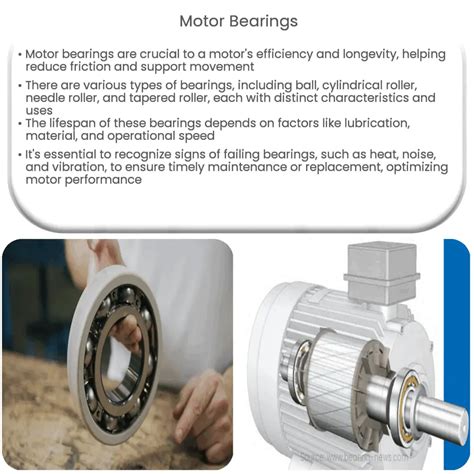 The Importance of Motor Bearings in Industrial Applications