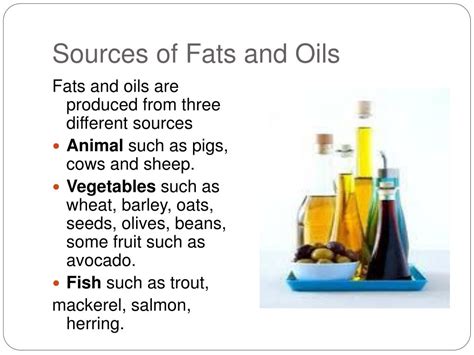 The Importance of Oils and Fats