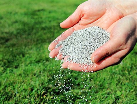 The Importance of Pasture Grass Fertilizer