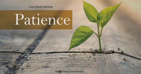 The Importance of Patience: