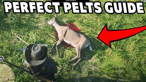 The Importance of Perfect Pelts