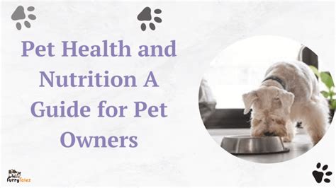 The Importance of Pet Health and Nutrition Research