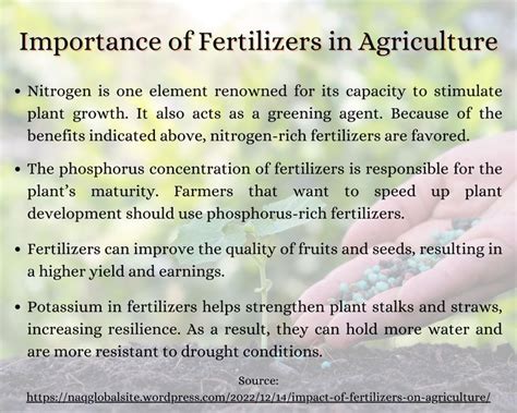 The Importance of Starting Fertilizer