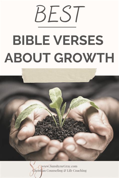 The Importance of Studying the Bible: A Guide for Spiritual Growth and Knowledge