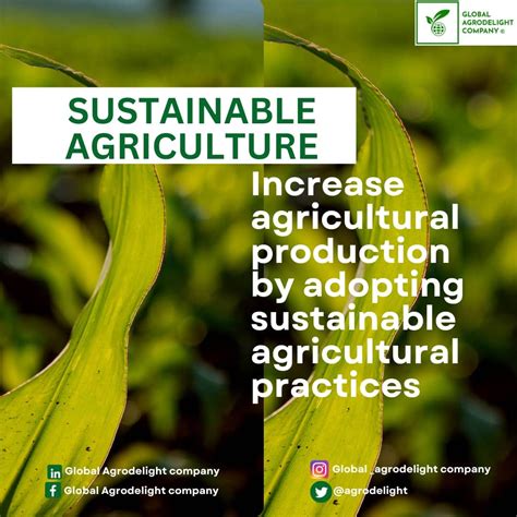 The Importance of Sustainable Agriculture