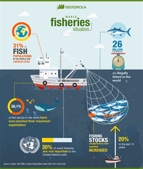 The Importance of Sustainable Fishing