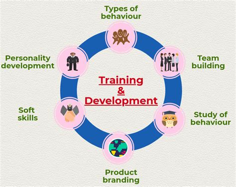 The Importance of Training and Development