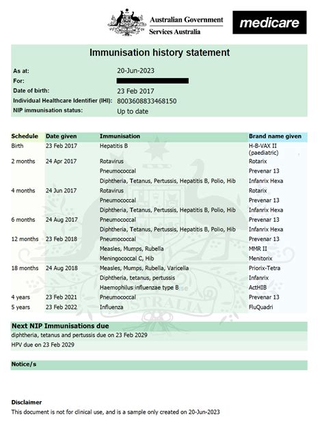 The Importance of Vaccination Records