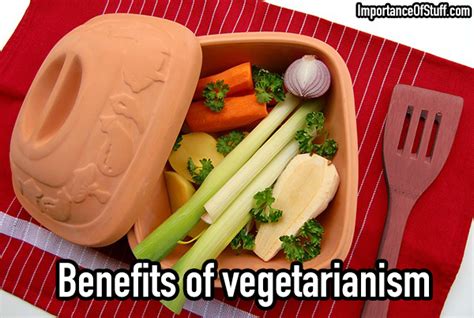 The Importance of Vegetarianism