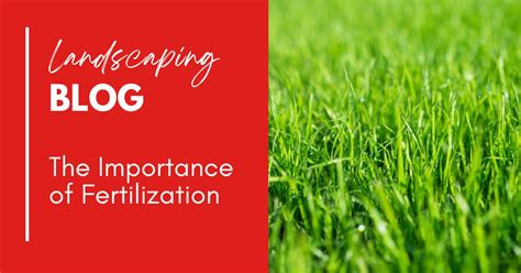 The Importance of Yard Fertilization