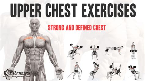 The Importance of an Upper Chest