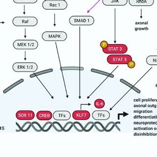 The Incomparable Regenerative Factor