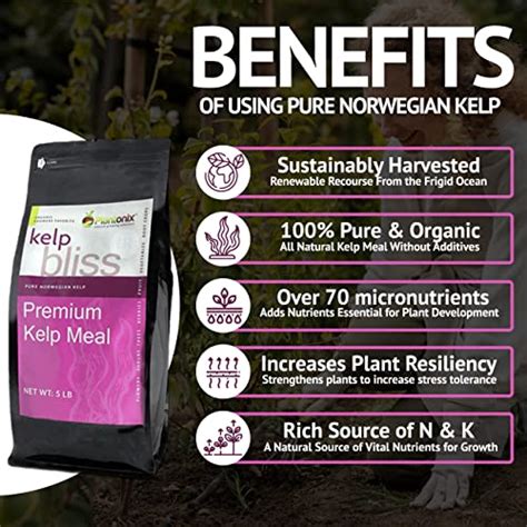 The Incredible Kelp Fertilizer: A Natural Solution with 500% Yield Increase