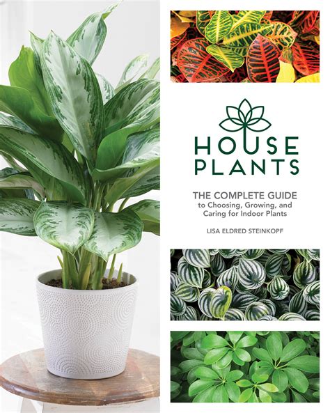 The Indoor Plant Bible The Essential Guide to Choosing and Caring for Indoor Kindle Editon