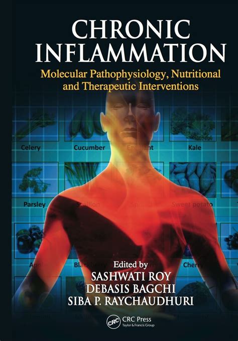 The Inflammation Syndrome Ebook PDF