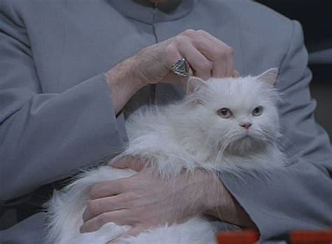 The Insidious Genius of Doctor Evil with Cat