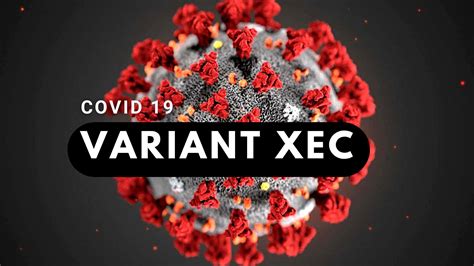 The Insidious Threat of the XEC Variant: Recognizing and Managing Its Symptoms