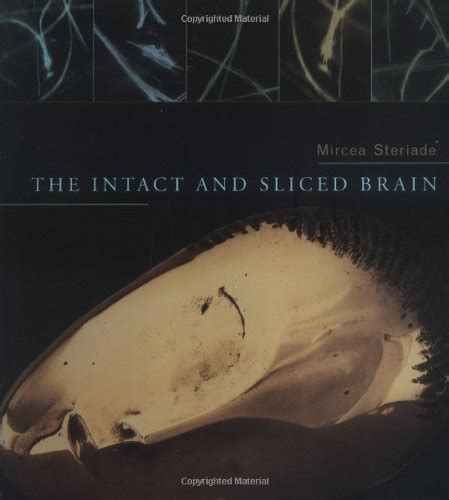 The Intact and Sliced Brain 1st Edition Epub