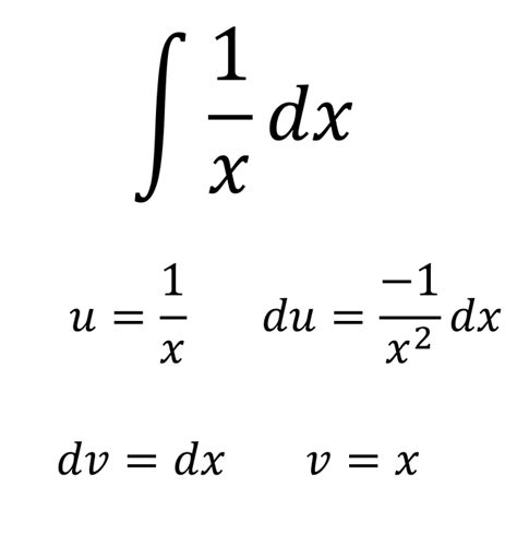 The Integral of 1/u