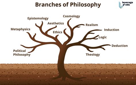 The Interconnected Nature of Philosophy