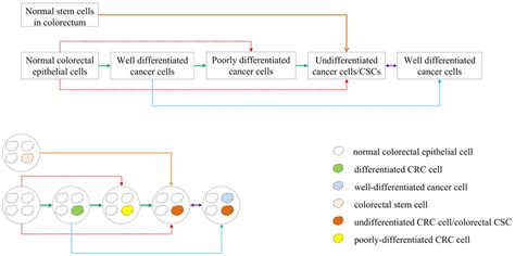 The Interconversion Relationships