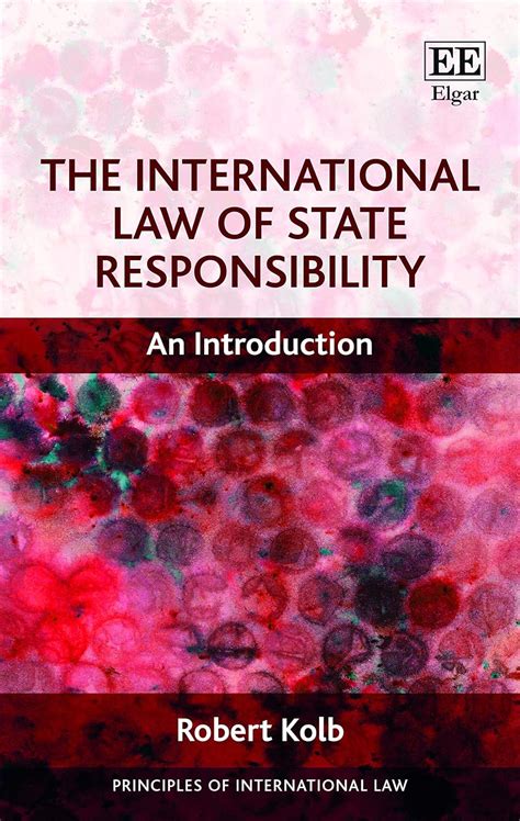 The International Law of State Responsibility An Introduction Principles of International Law series PDF